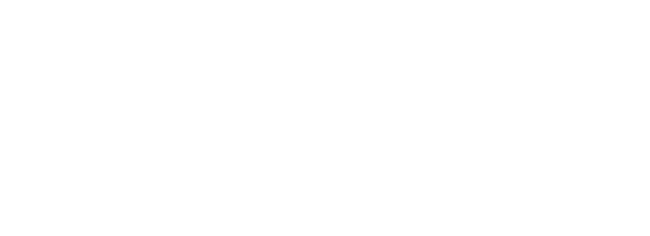 StormNet Solutions